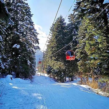 Mountain Paradise In Borovets Gardens