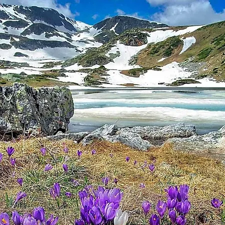 Mountain Paradise In Borovets Gardens 4*
